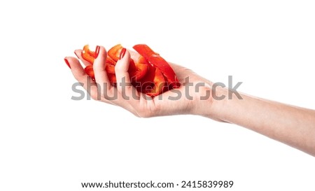 Red sweet bell pepper in hand isolated on a white background. Woman holding bulgarian pepper. Healthy food and ingredients concept. High quality photo
