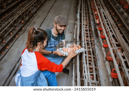 Male and female workers pick up eggs in cage placed into egg carton tray while squatting at poultry farm Royalty-Free Stock Photo #2415855019