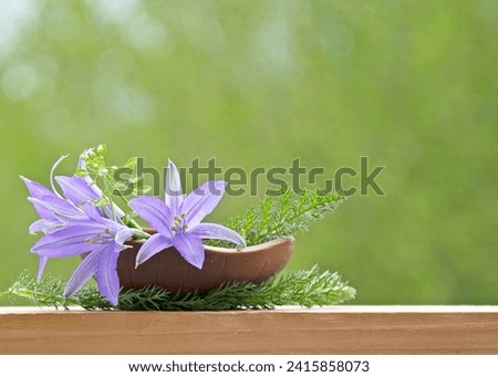 Blue flowers of campanula in chocolate egg against green garden. Background
