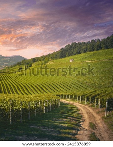 Langhe vineyards view at sunset, Barolo and La Morra villages in the background, Unesco World Heritage Site, Piedmont region. Italy, Europe. Royalty-Free Stock Photo #2415876859