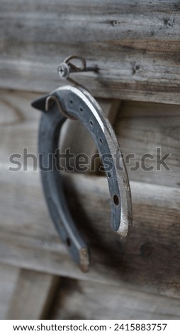 Hufeisen, Pferd, Huf, cowboy, metal, photo, antique , horseshoe