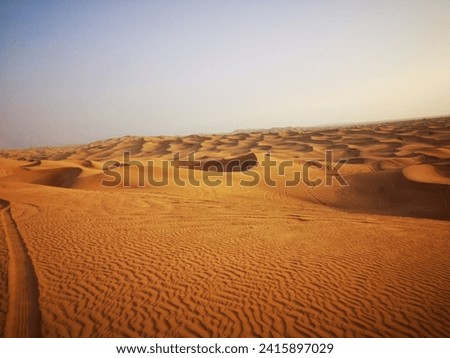 nice picture in a desert