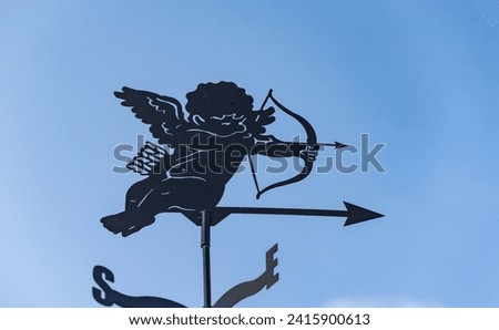 Decorative weather vane removed from below