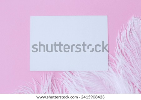 White card lying on ostrich feathers and pink background, minimalistic mock up flat lay, blanck sheet of paper, empty copy space