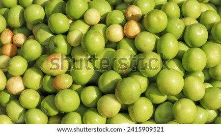 The ber fruit, also known as Indian plum or Jujube is a small,sweet,tangy fruit found in many parts of Asia. It is a rich source of vitamins, minerals, including vitamin C, potassium, and antioxidants Royalty-Free Stock Photo #2415909521
