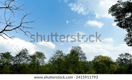 Nature Landscape background in black and white 