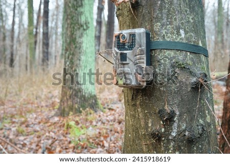 A camera trap hanging on a tree, equipment for observing wild animals