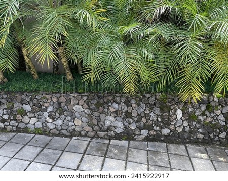 Walls with a combination of stacked stones, cement carport floor with checkered motifs. Palm leaves as foreground of copy space design