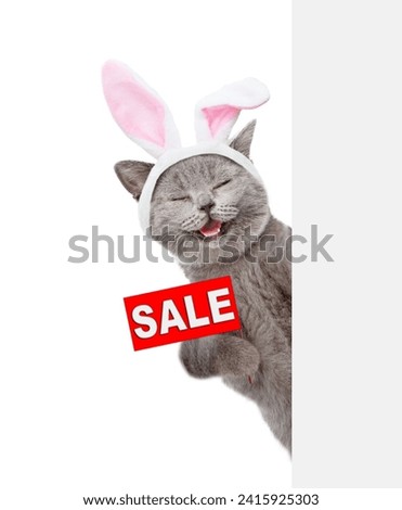 Laughing cat wearing easter rabbits ears holds sales symbol behind empty white banner. Isolated on white background