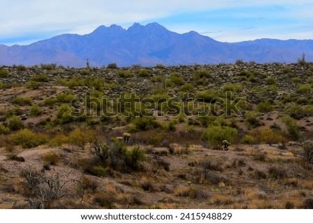 Salt River Arizona recreation area, Desert Mountains, east of Phoenix Arizona Royalty-Free Stock Photo #2415948829
