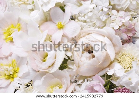 Delicate blooming festive begonia flowers and pink summer roses, blossoming rose flower soft pastel background, bouquet floral card, selective focus