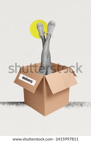 Composite collage image of funny female carton box delivery sneakers shoes purchase weird freak bizarre unusual fantasy billboard
