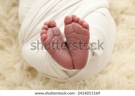 The tiny foot of a newborn baby. Soft feet of a new born in a white blanket. Close up of toes, heels and feet of a newborn. Macro photography.