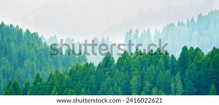Lush green pine tree forest forrest in the mountains layered with valleys Royalty-Free Stock Photo #2416022621