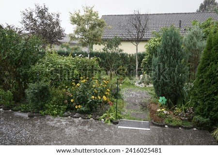 Rain and hail fall in the autumn garden in September. Hail is a form of solid precipitation. It consists of balls or irregular lumps of ice, each of which is called a hailstone. Berlin, Germany Royalty-Free Stock Photo #2416025481