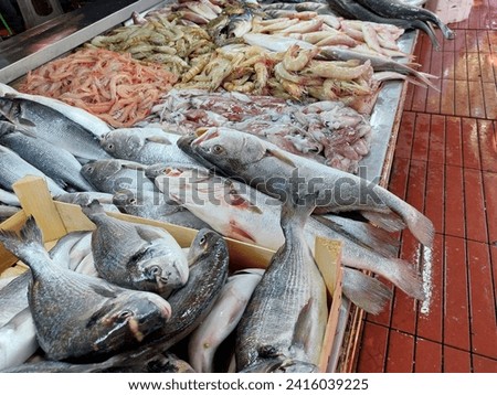 Fresh fish and seafood on the counter of a fish market, Mediterranean.