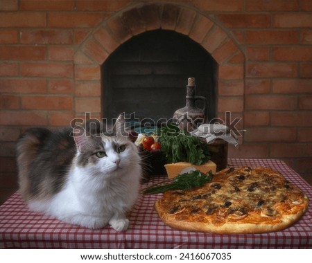 Hungry cat creeps up to the pizza table