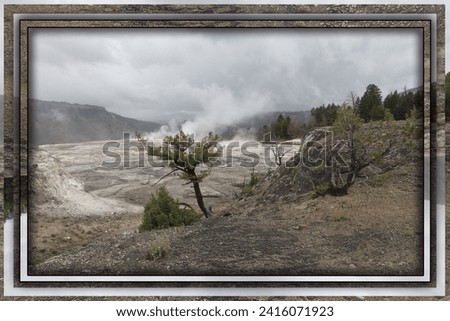 geothermal features of yellowstone national park framed with custom digital frames designed specifically for the photograph of the hot spring, mineral deposit or tree featured
