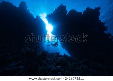 A Person Swimming in The Water Near a Coral Reef