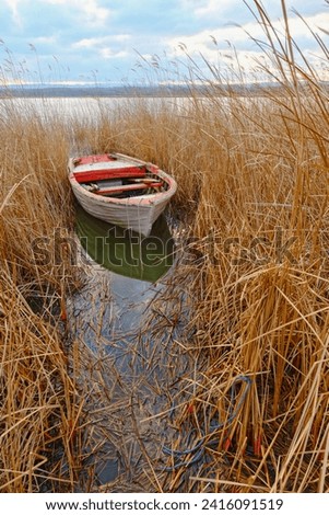 Wooden old white boat dinghy among the reeds in winter by the lake. Igneada national park, Mert Lake in Winter. Turkey. 2024 