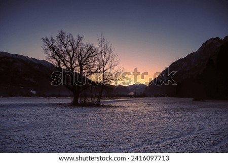 A tree in front of the sunrise, Lavant Osttirol Austria 