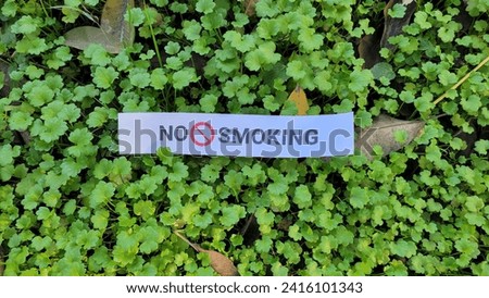 No smoking sign, Quitting smoking concept