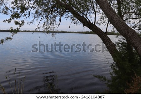 Minnesota lake view of calm relaxing day with trees overhanging waters edge near shore green summer day with warm blue grey water MN nature preserve land of 10,000 lakes natural landscape with room