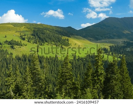 A summer sunset over the alpine pastures of Rodna Mountains. Carpathia, Romania. Under the alpine peaks, coniferous forests grow. Sunlight falls through the clouds on the mountains. Royalty-Free Stock Photo #2416109457