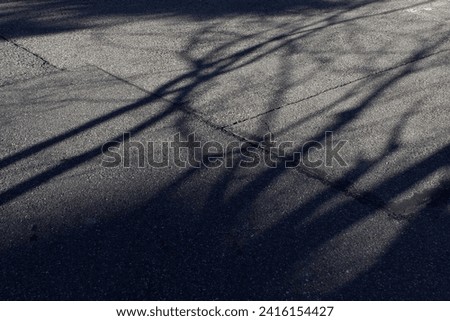 Abstract trees dark shadows on grey city street asphalt road into sunlight