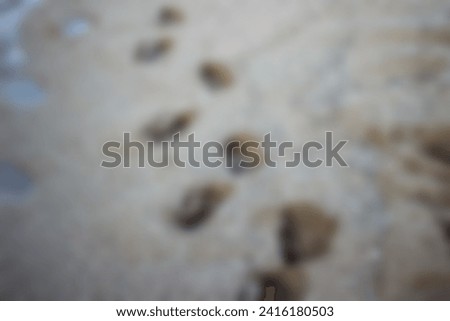 defocus abstract background of footprints in the beach sand