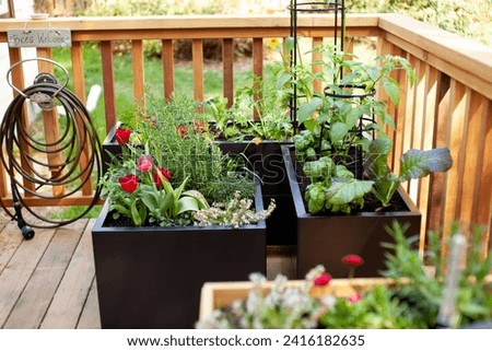 Black metal planter boxes look great on a wooden deck or patio. Growing flowers, herbs and vegetables can be done right out your back door!