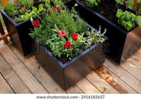 Black metal planter boxes look great on a wooden deck or patio. Growing flowers, herbs and vegetables can be done right out your back door! Royalty-Free Stock Photo #2416182637