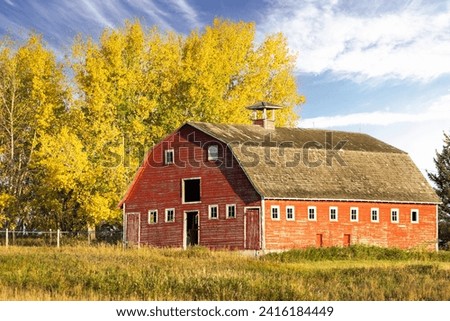Rustic red barn on a lush green field with trees in autumn colours standing in a farmyard in Rocky View county Alberta Canada.