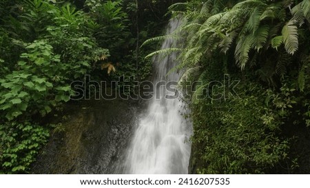 The waterfall is hidden in the forest which offers beauty and freshness in the midst of the emptiness of the dense forest