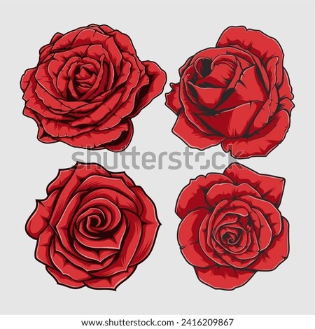 roses red flower vector illustration isolated