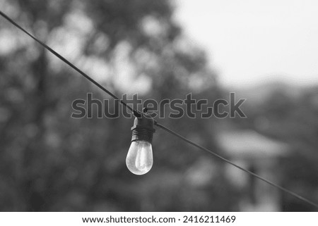 Monochrome hanging bulb light in the middle of the woods 