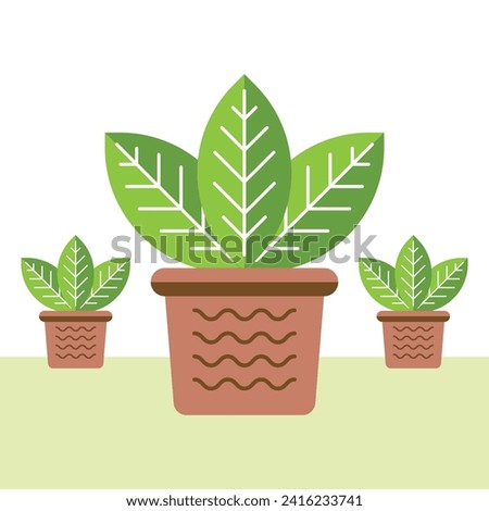 Colorful plant vector illustration in flat design style. Clip art for interior design, eco-lifestyle, gardening.