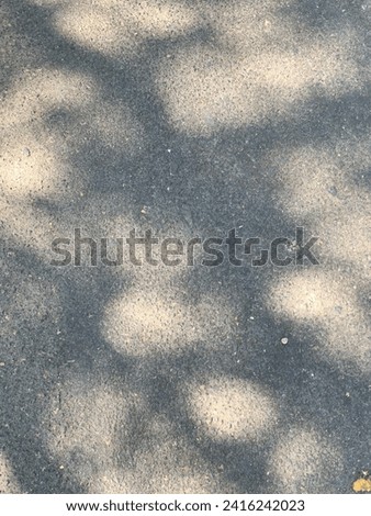 Shadows from trees visible on the asphalt road. Background texture abstract wallpaper. Street photography inspiration. Backdrop