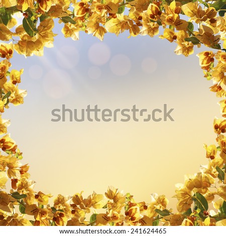 Spring nature background with blooming flowers and sunset sky