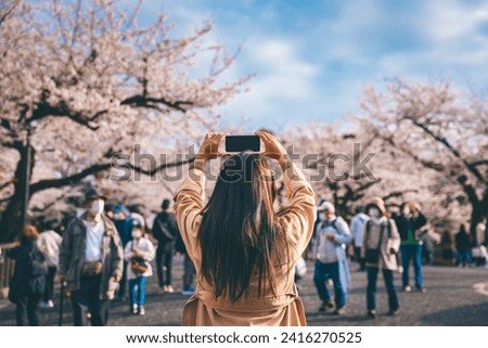 Travel spring season of Japanese flower concept, Happy traveler asian woman with mobile phone sightseeing in pink sakura cherry blossom tree blooming in Chidorigafuchi park, Tokyo, Japan