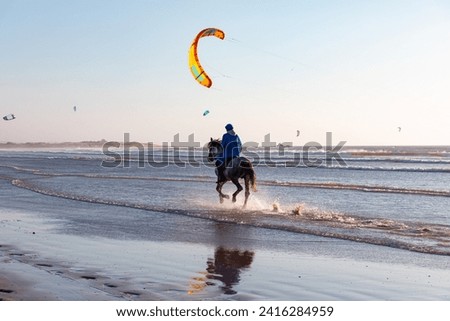Brown arabian horse running with a rider in the Atlantic ocean -  Kitesurfers on the Essaouira beach -  
Essaouira, Morocco Royalty-Free Stock Photo #2416284959