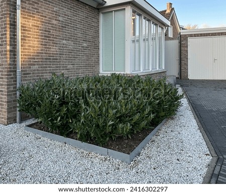 Paved front garden. Floor design with terrace tiles and ornamental gravel. Triangular flower bed with evergreen plant Prunus laurocerasus. Netherlands Royalty-Free Stock Photo #2416302297