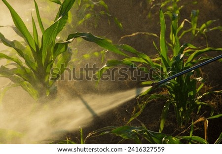 Failure to properly protect chemicals while spraying causes harm to the body, causing toxic residues that cause
Syncope is caused by a lack of oxygen in the body. Royalty-Free Stock Photo #2416327559