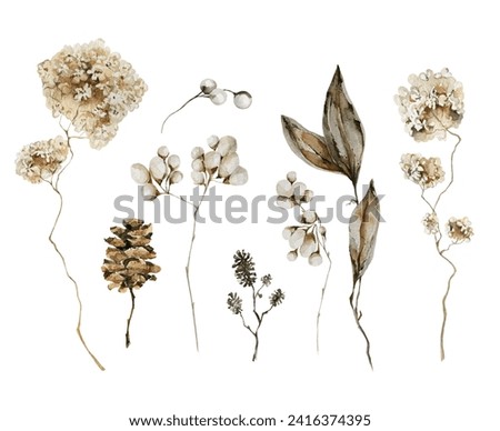 Watercolor floral beige set. Hand painted forest tree branches, berries, dried flowers, leaves, cones isolated on white background. Floral brown botanical clip art for design or print