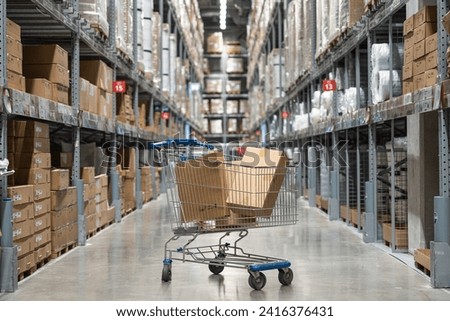 Shopping cart in the warehouse. Royalty-Free Stock Photo #2416376431