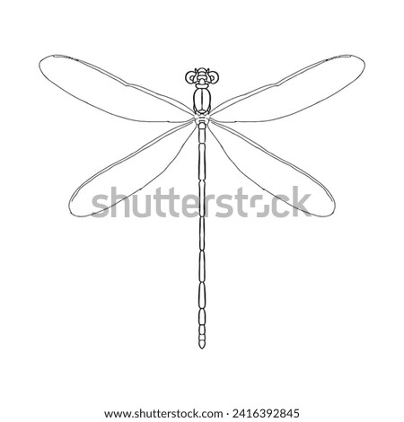 Dragonfly sketch 5 out line vector isolated