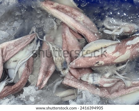 a photography of a bunch of squids are in a bowl of ice.