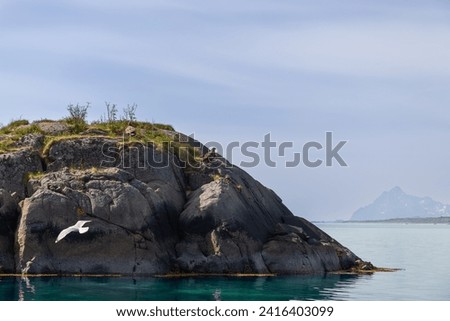 On a Lofoten isle, white-tailed eagles observe their domain from high on rocky ledges, as a seagull glides over the tranquil aquamarine sea. Norway Royalty-Free Stock Photo #2416403099