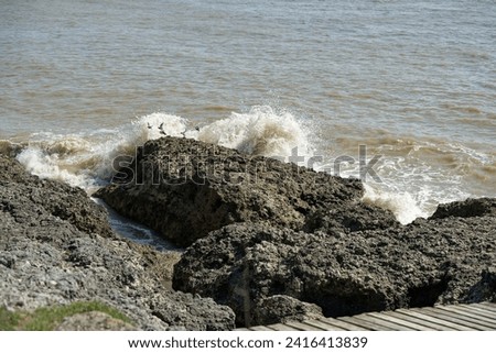 wave crashing on a rock. Beach