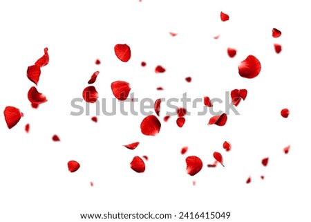 Red roses petals flying romance and love overlay background